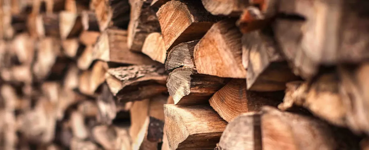 Brennholz